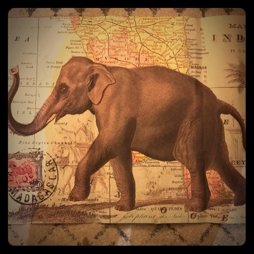 Elephant map poster